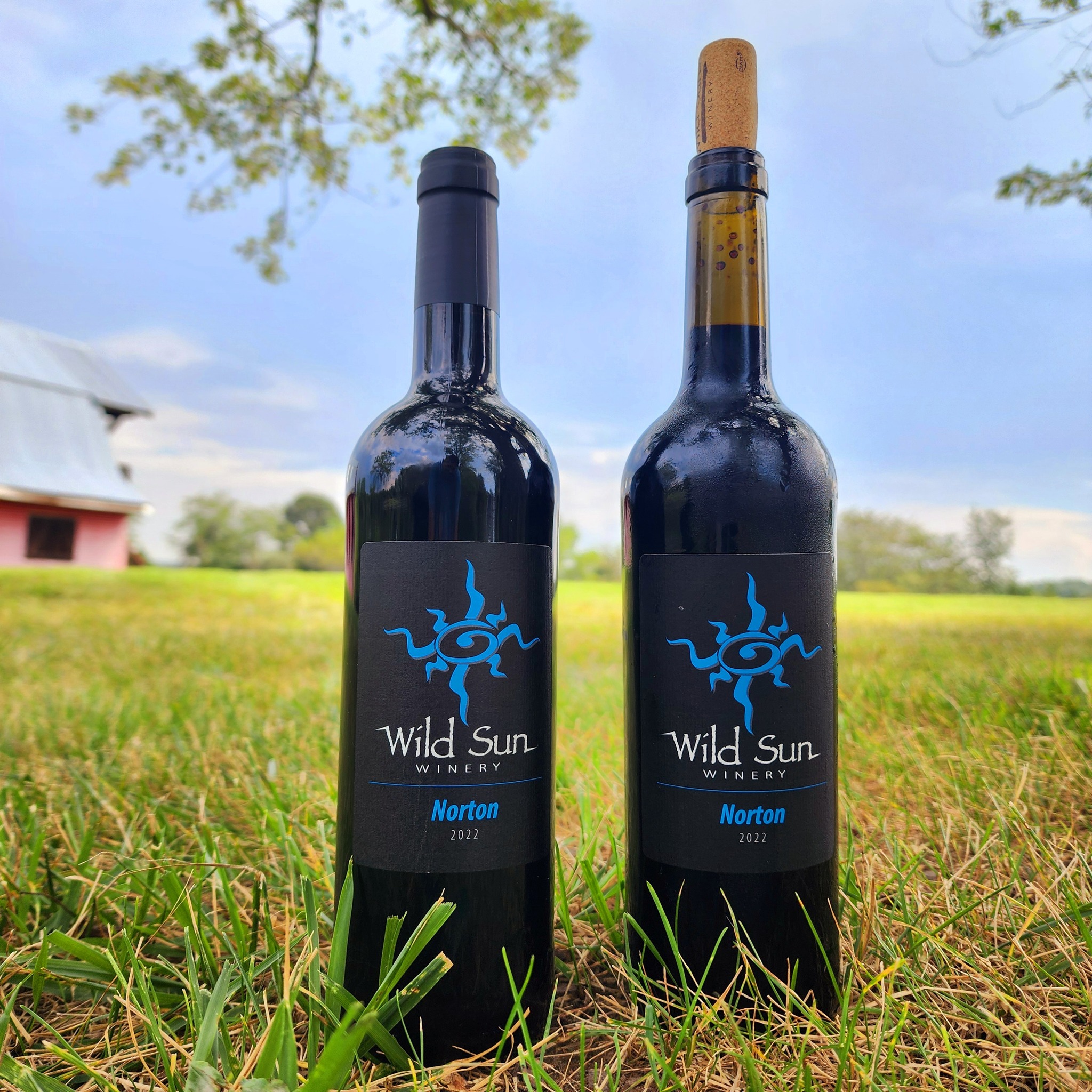 Wild Sun Wine bottles
