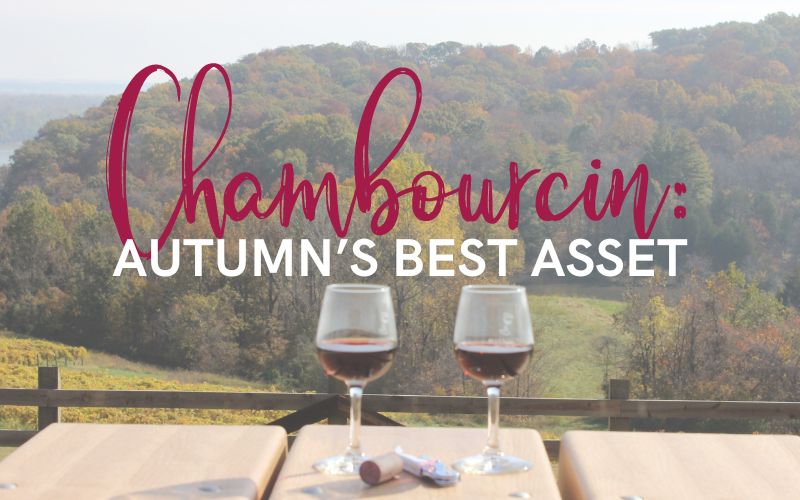 Chambourcin - Autumn's Best Asset