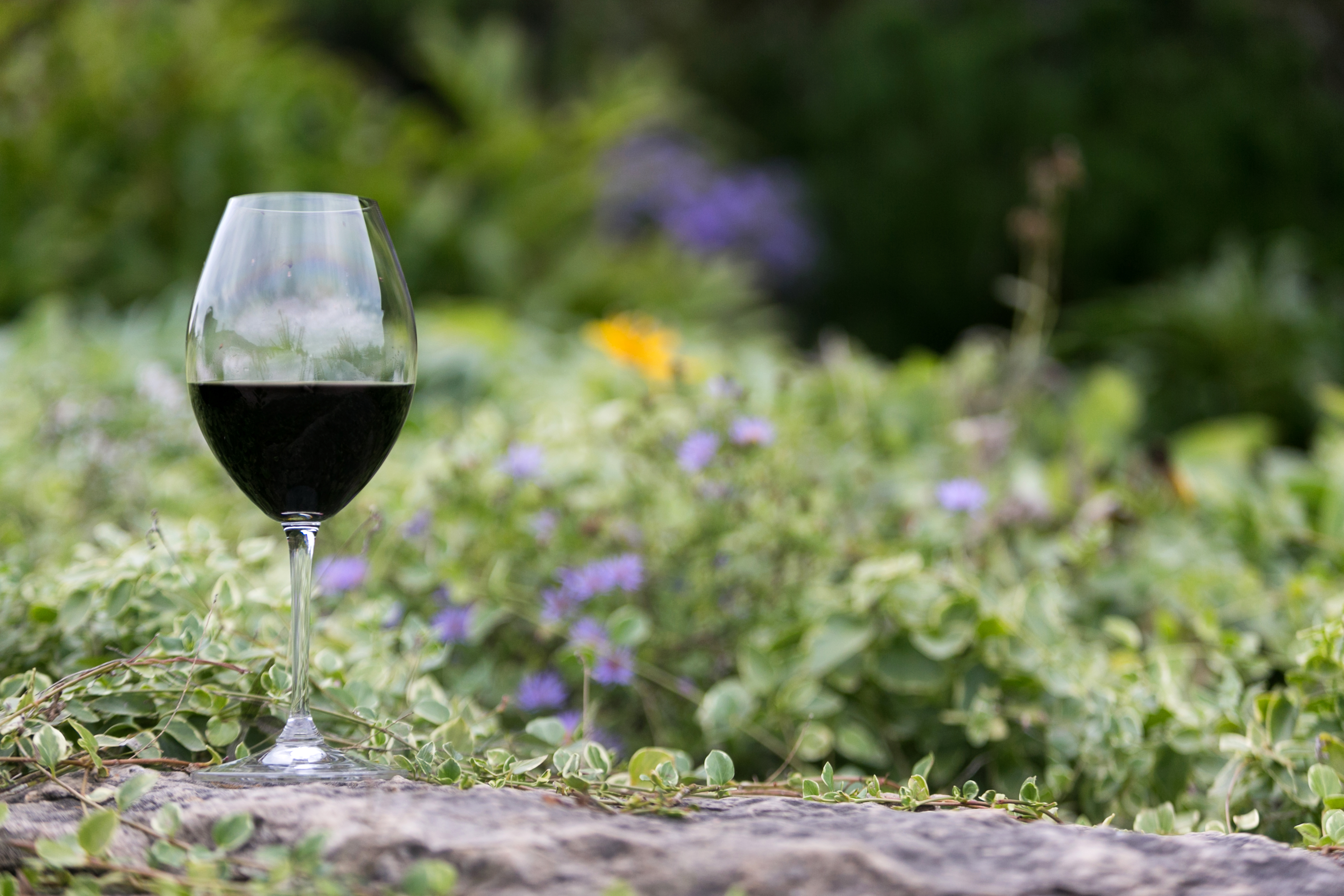 Wine Glass