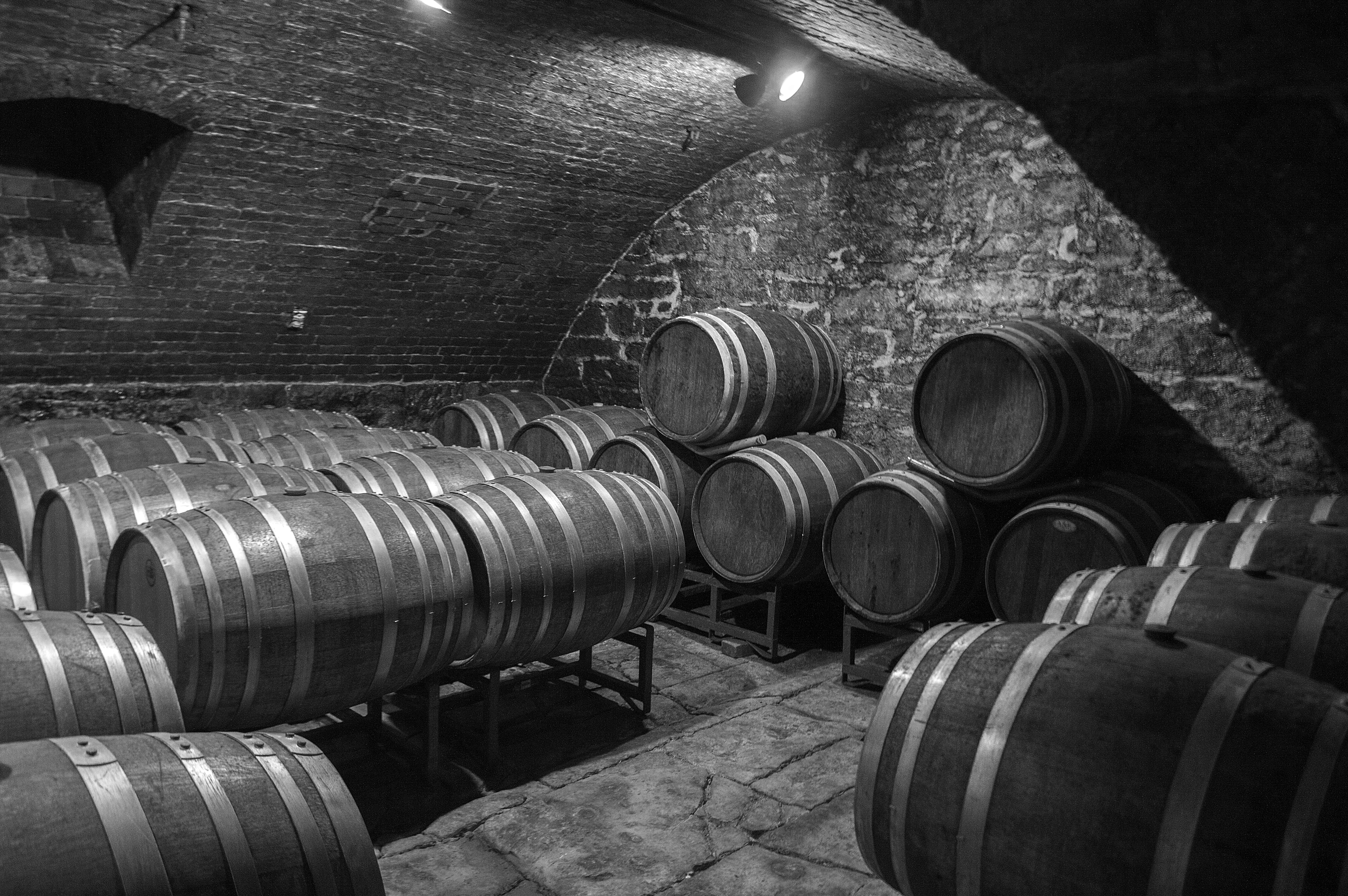 Future vino