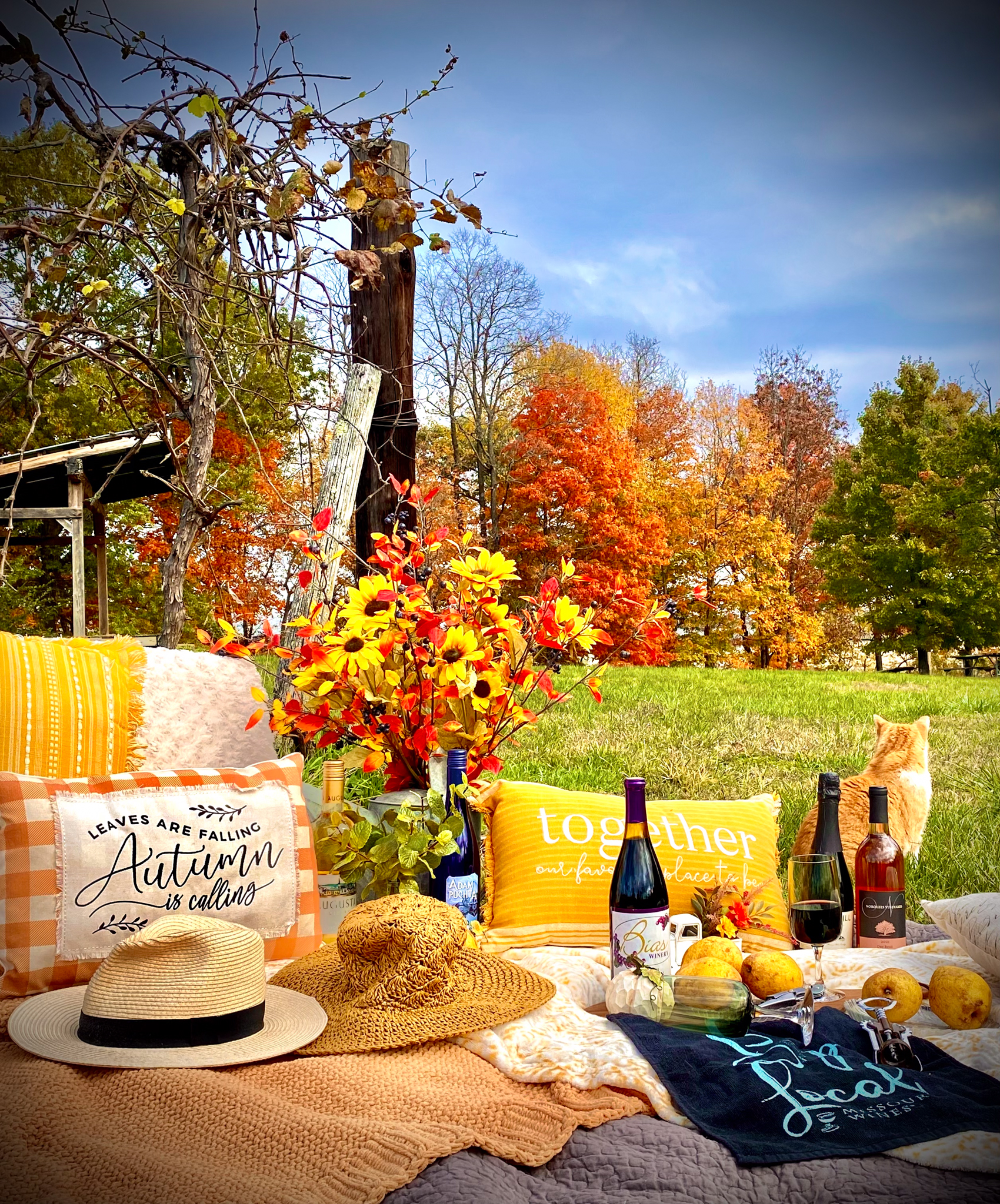 Wine, autumn decorations