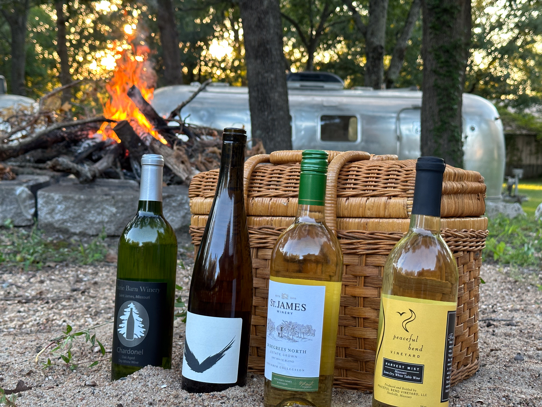 Wine bottles near a fire and campground