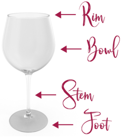 Wine Glass Outline