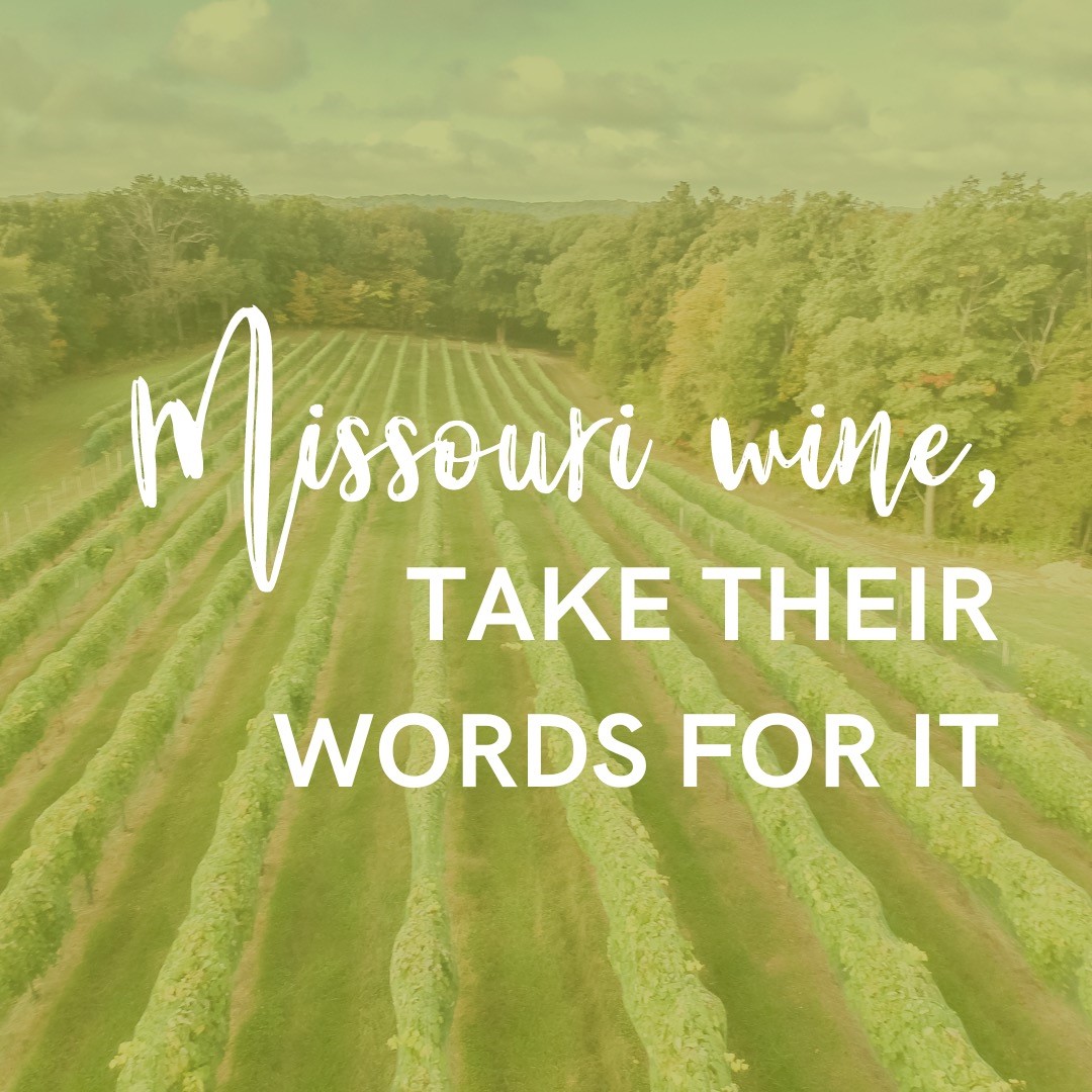 Aerial image of vineyard stating "MO Wine, Take Their Words for It"