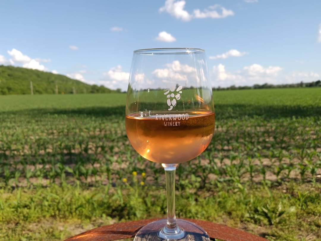 wine glass