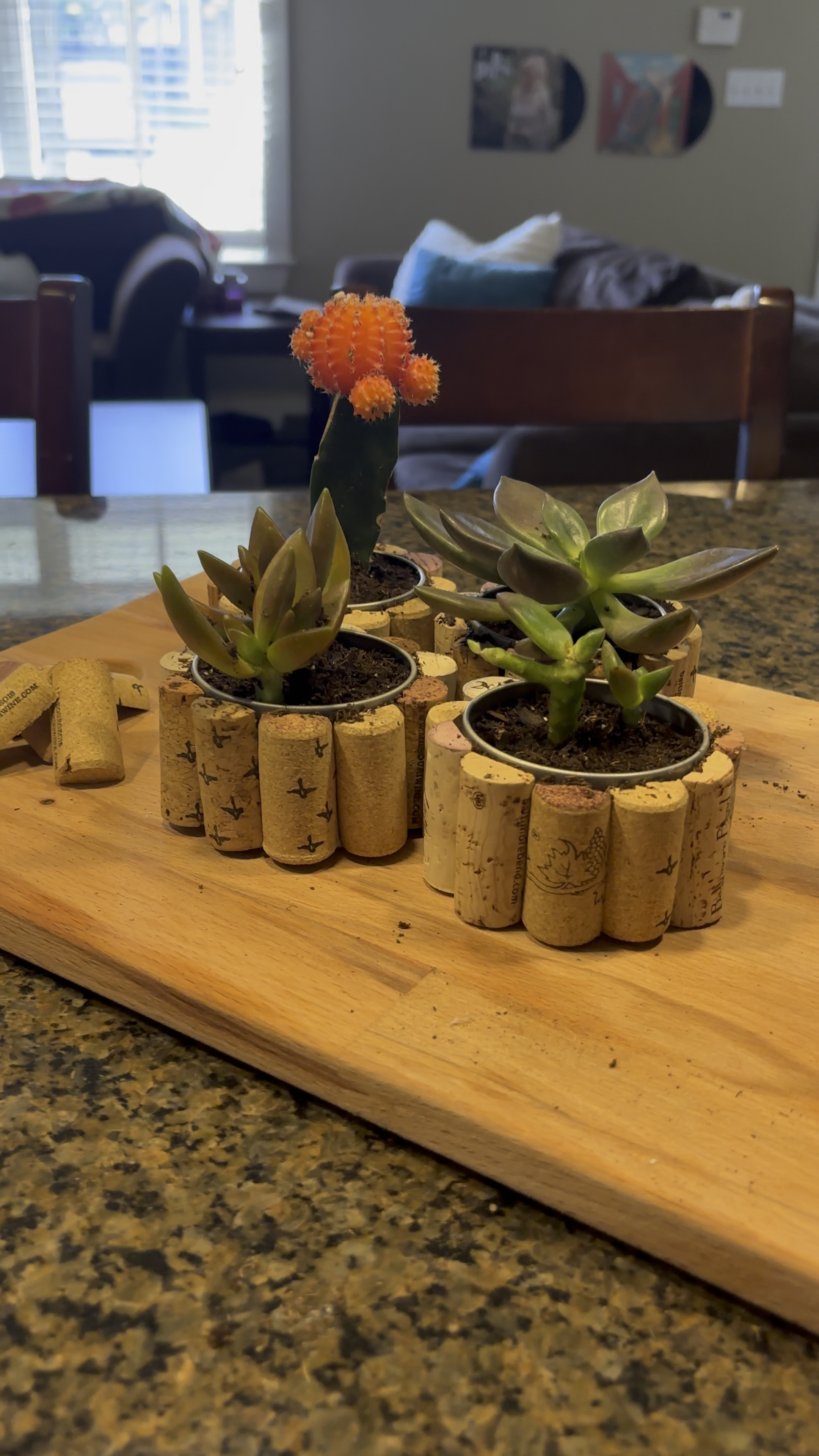 plants