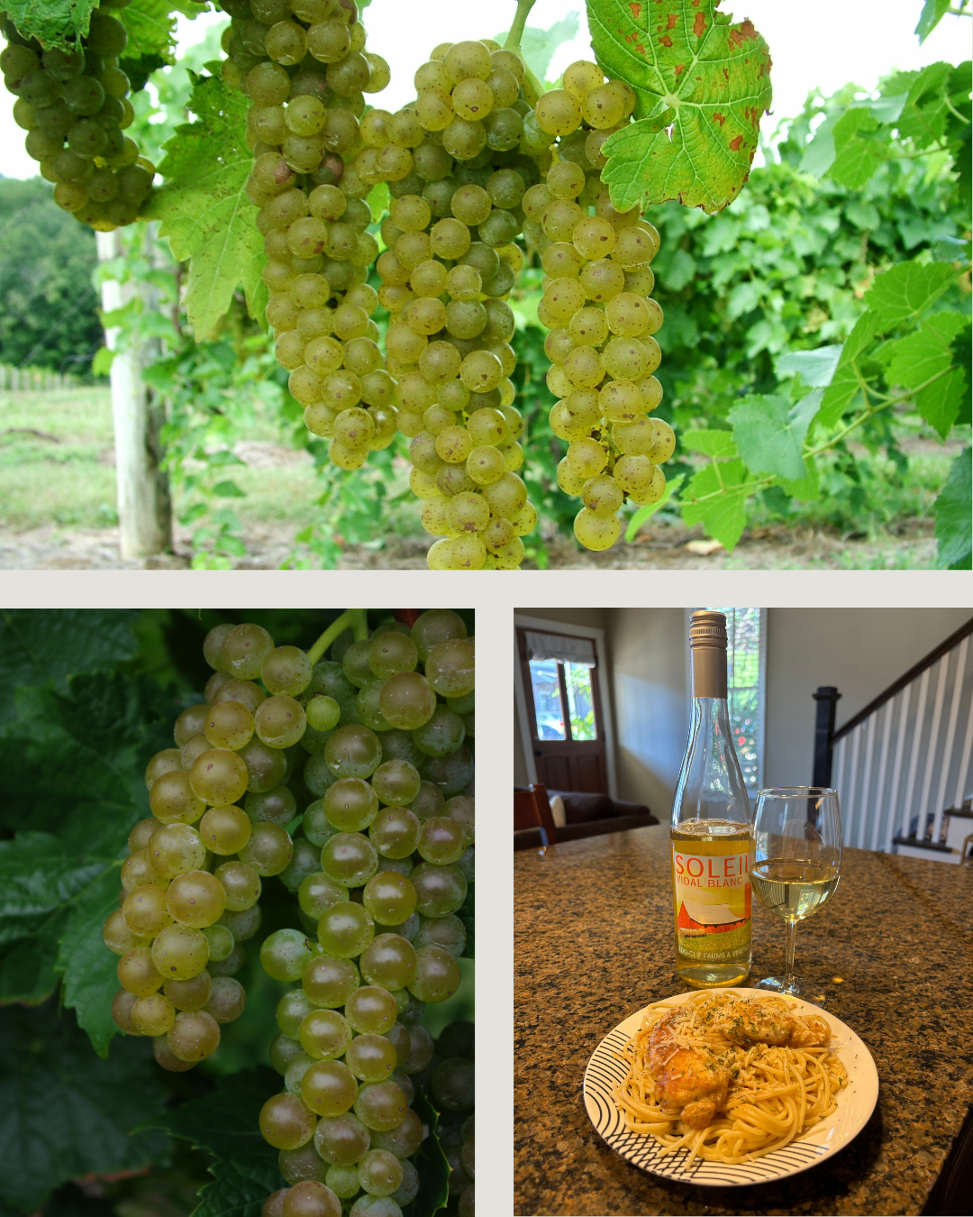 Photo Collage of Vidal Blanc grapes and a chicken pasta dish