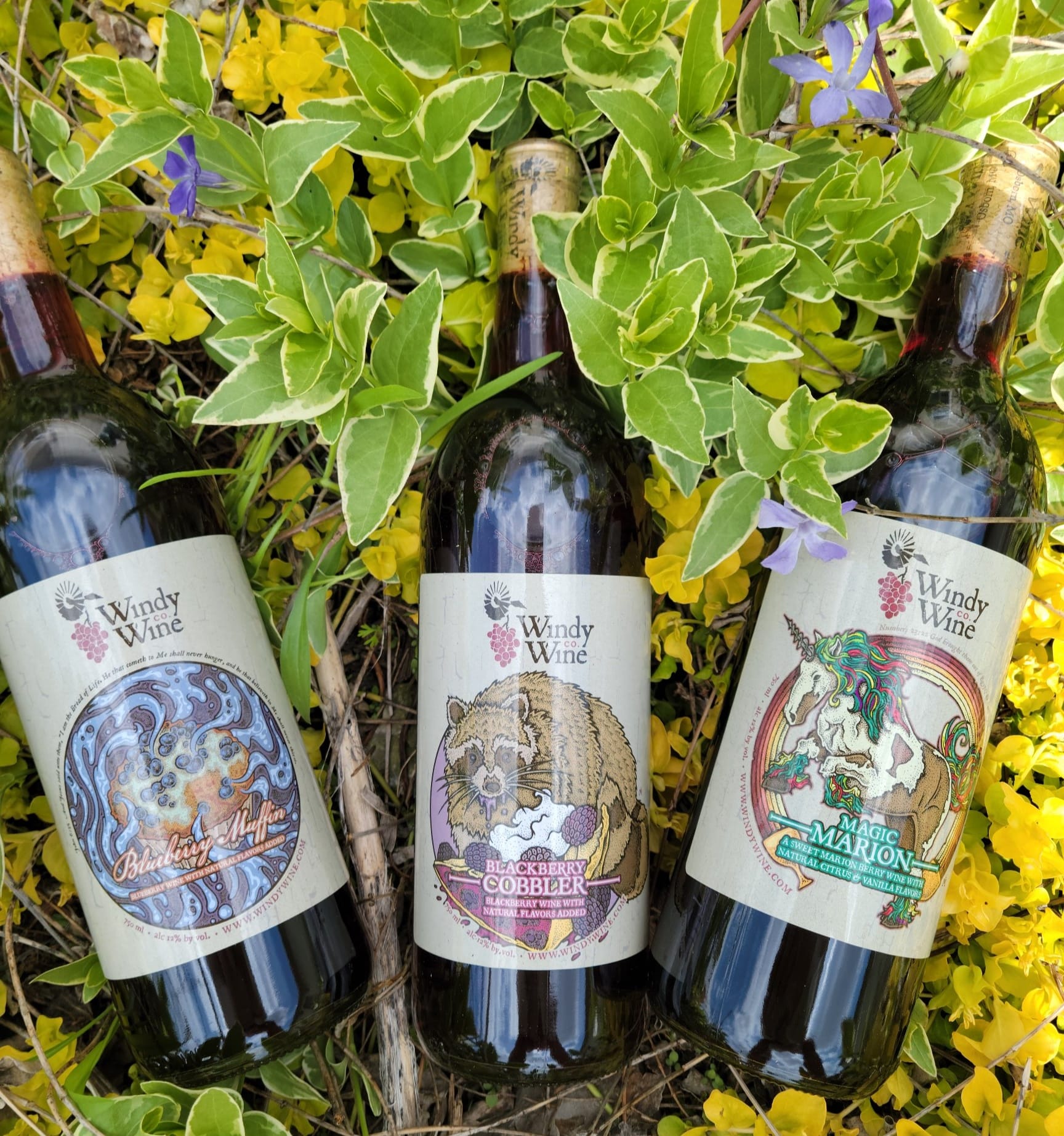 windy wine