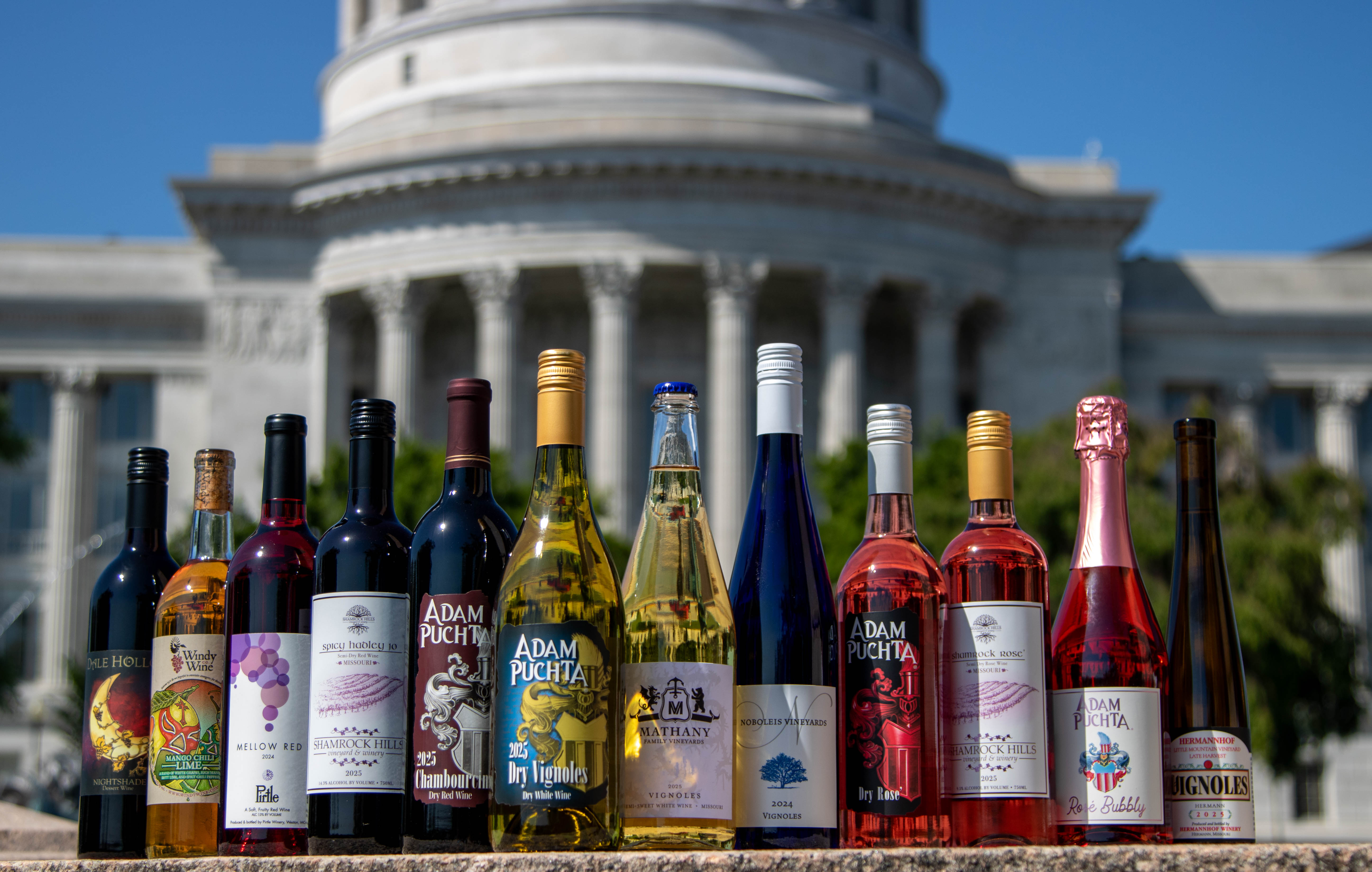 Best of Class Wines lined up in front of the capital