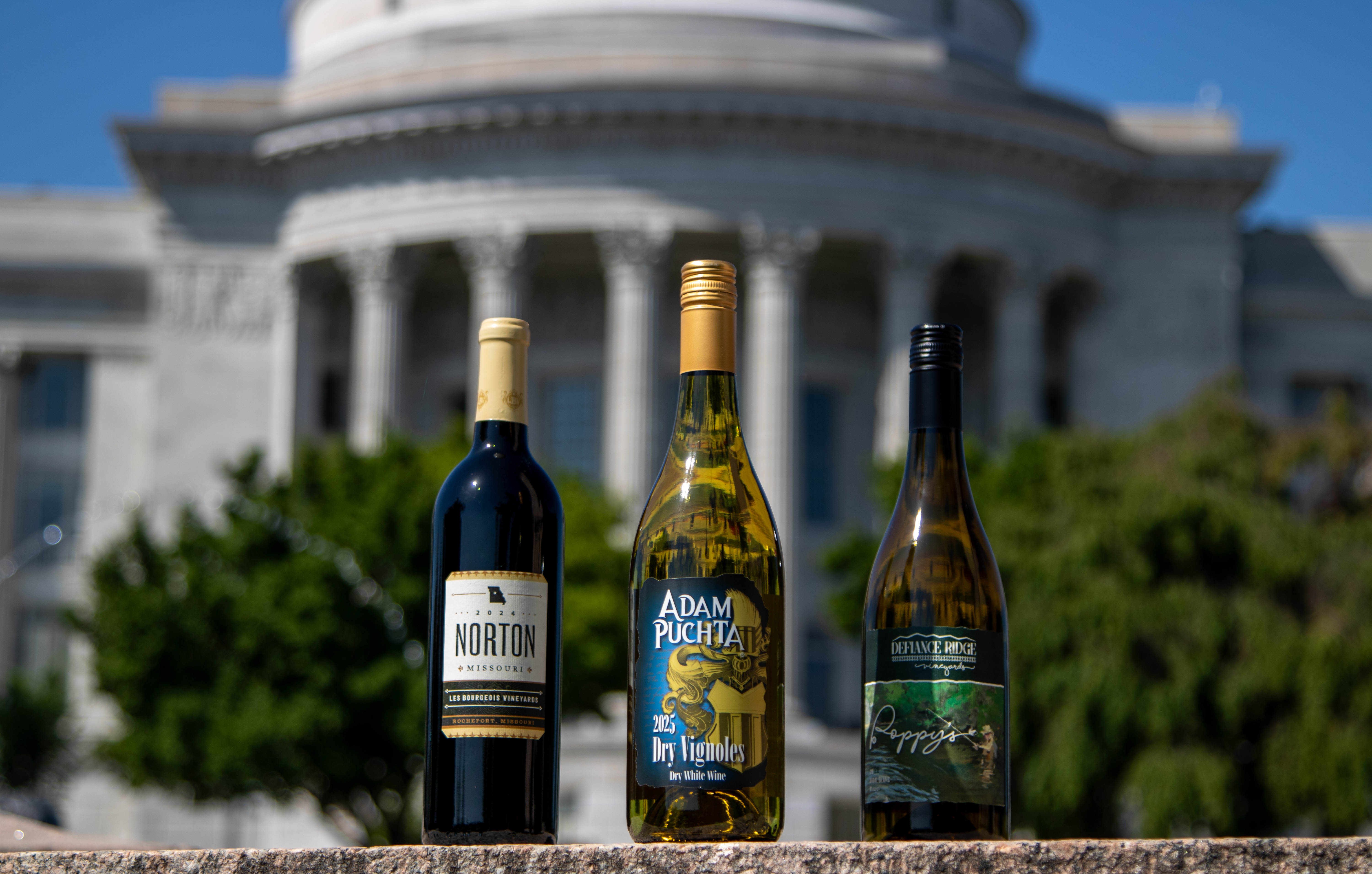 Picture of the top 3 wines lined up in front of the capital.