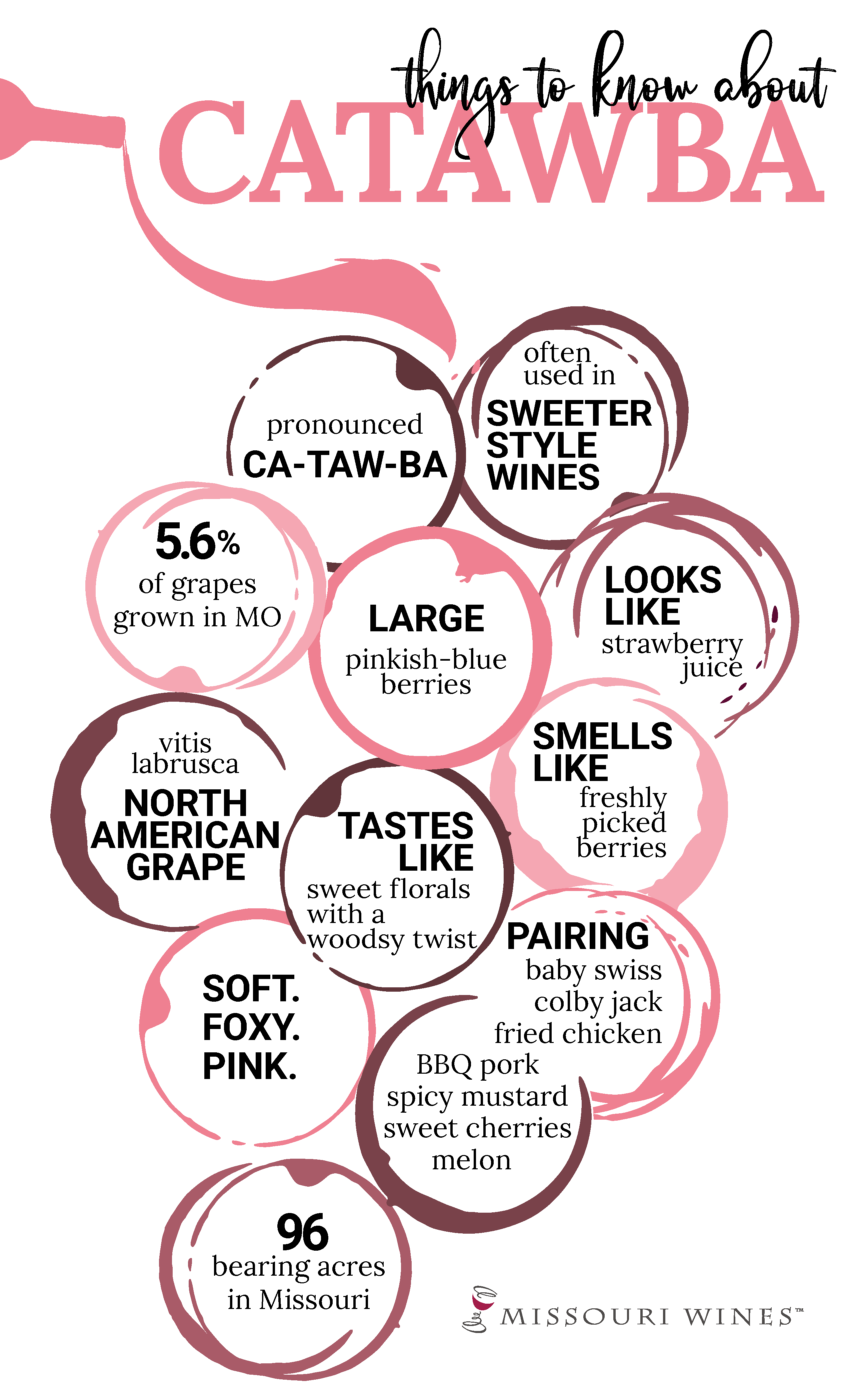 Catawba grape cluster